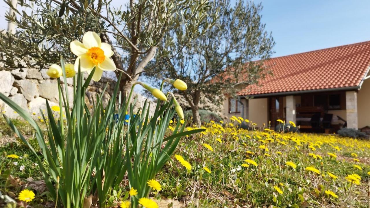 Holiday House Green Dream Обровац Экстерьер фото